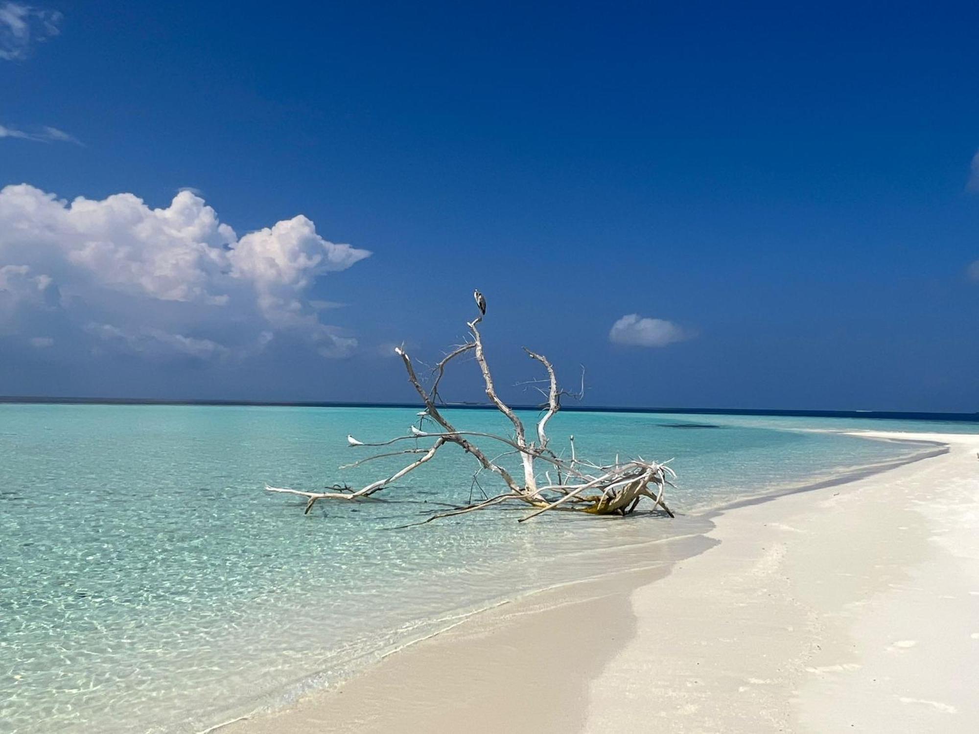 Asia Inn Maldives Hangnaameedhoo Exteriér fotografie